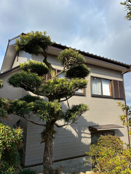 福岡県朝倉市_M様邸_壁塗装完成
